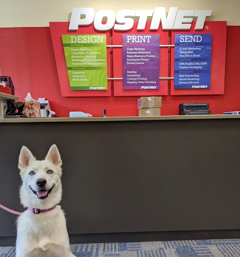 PostNet — view 1